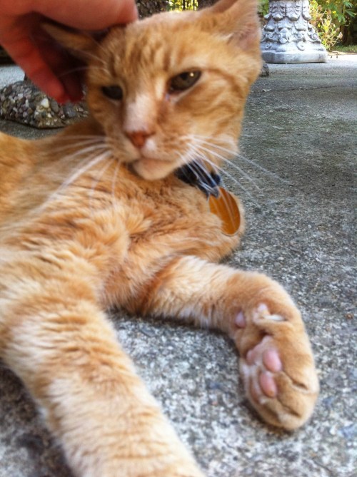 He was a cool cat.