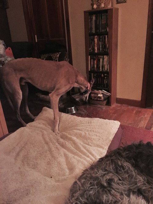She's in there, right? Doesn't know I'm here, right?