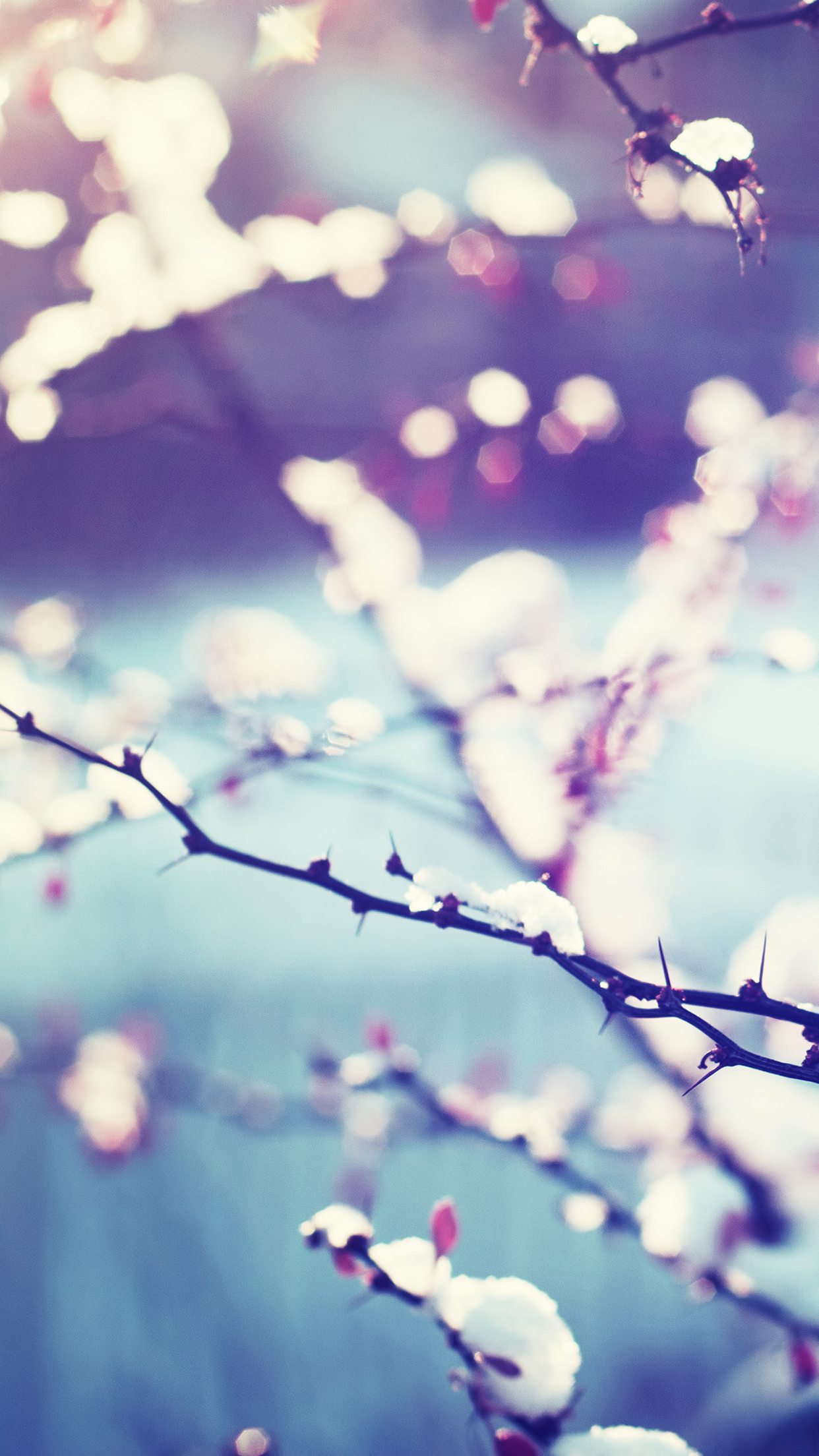 12 Fondos De Pantalla Invernales Para Ipad Y Iphone Wallpaper Semanal 48 Ipaderos