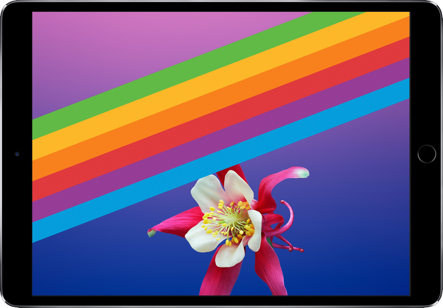 Descarga En Tu Ipad Los Coloridos Nuevos Fondos De Pantalla De Ios 11 Gm Ipaderos