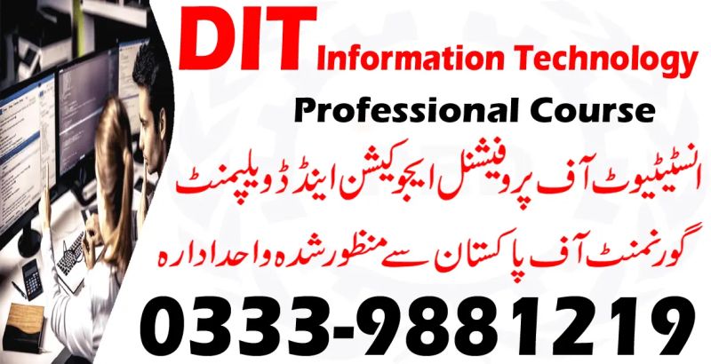 Software Engineering Diploma Training Course Practical Dit - Best Mountain Arts in Retina