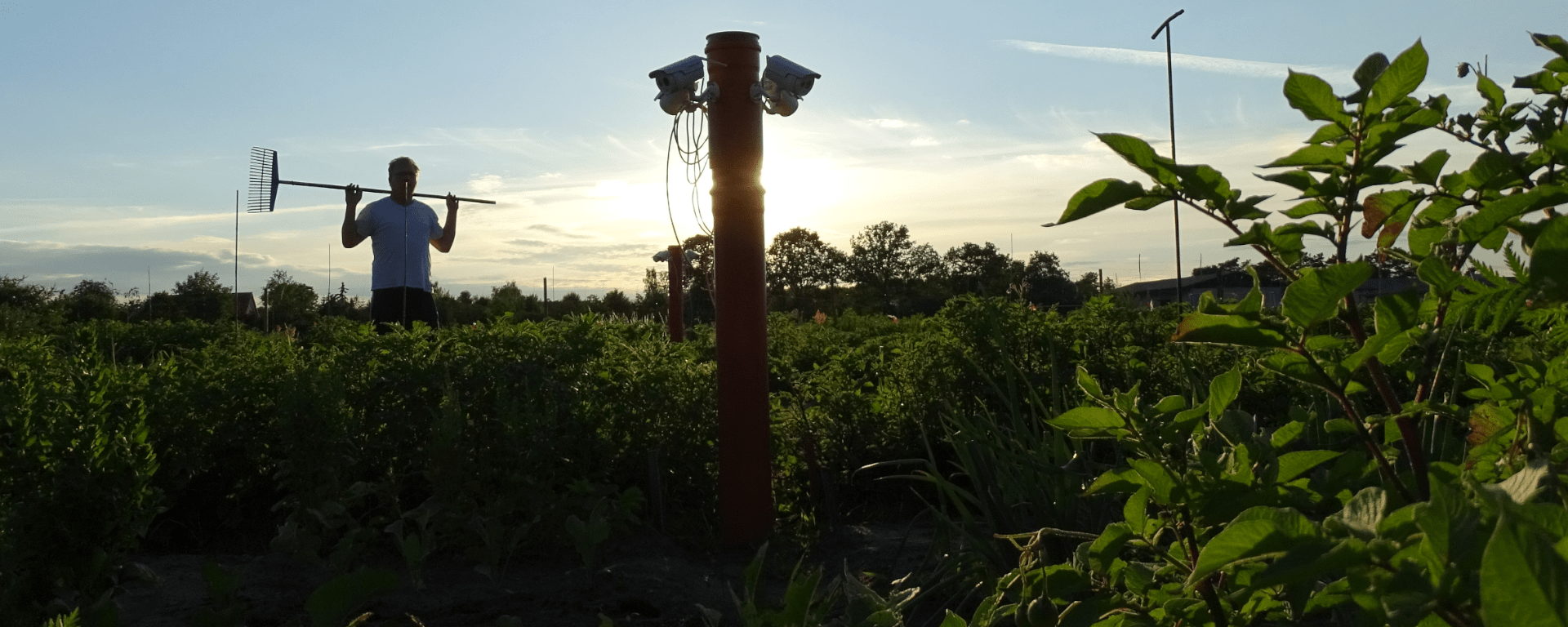 Der Ip Garten So Funktioniert Gaertnern Vom Sofa Aus Video Selbstversorgung Aus Dem Eignen Garten