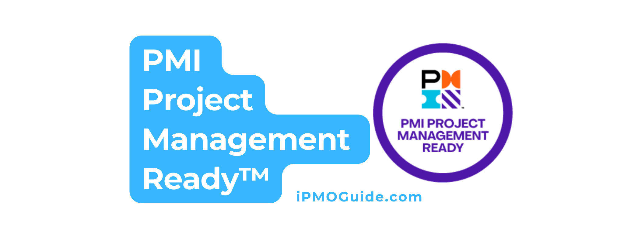 PMI Project Management Ready™ - iPMOGuide