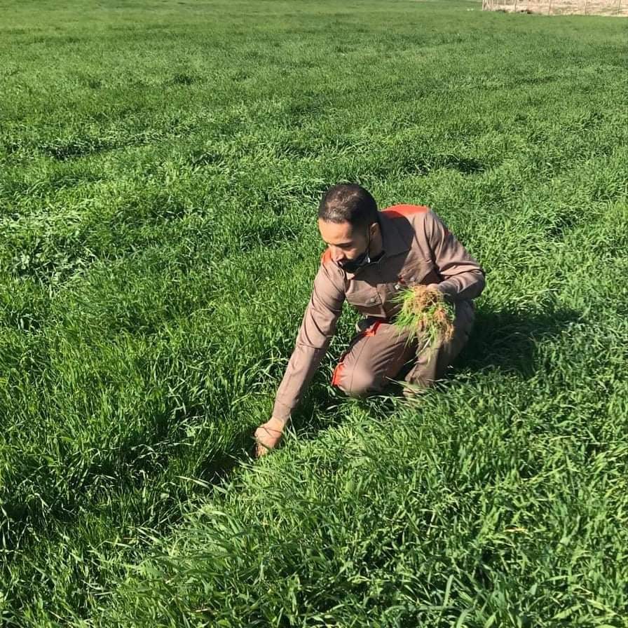 received_659665135279814