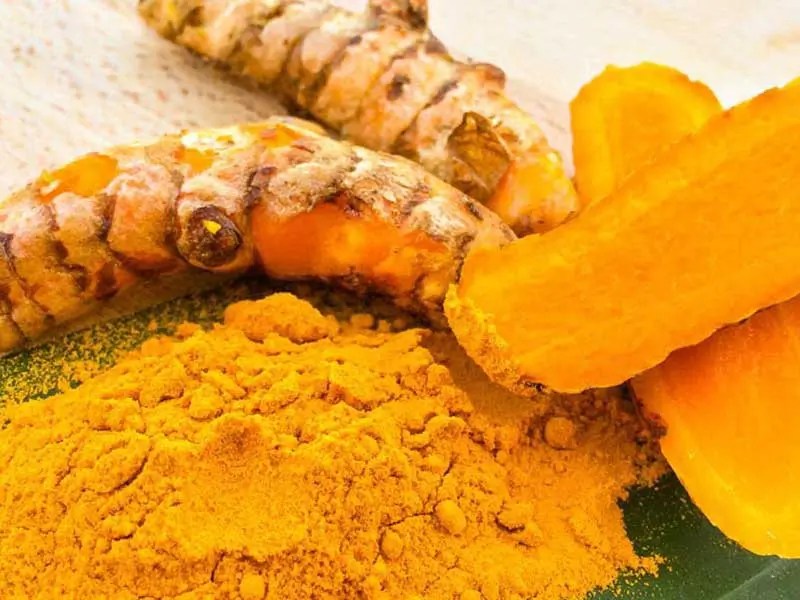 Export Procedures for Turmeric Powder