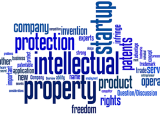 Intellectual Property Rights