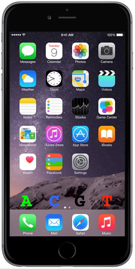 iPhone7