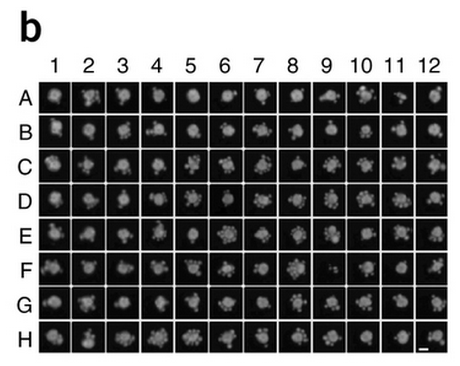 IPSC-array