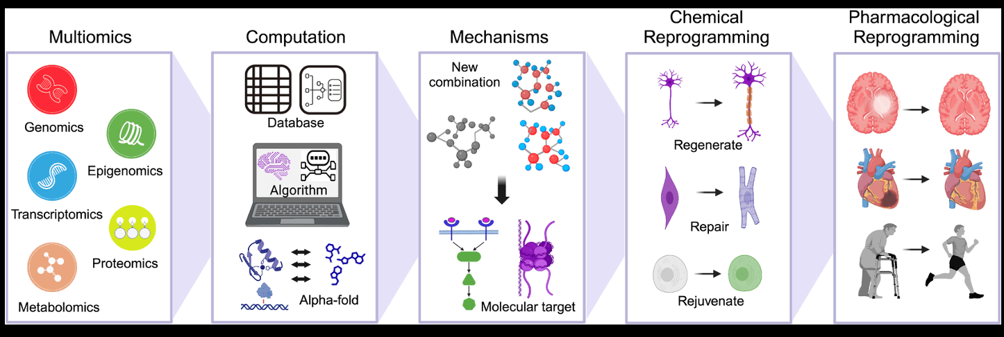 chemical reprogramming