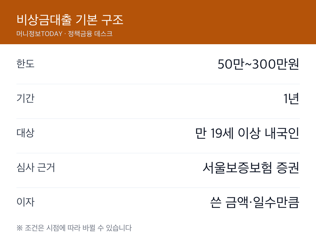 비상금대출 기본 구조