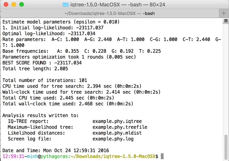 Github Fredjaya Spw23 Iqtree Iq Tree Workshop For The Sydney - Creative Gradient Wallpaper - Mobile