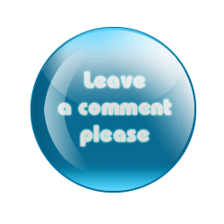 LeaveComment