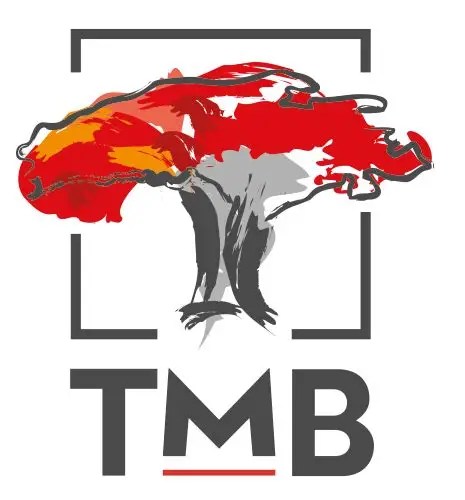 Trust Merchant Bank