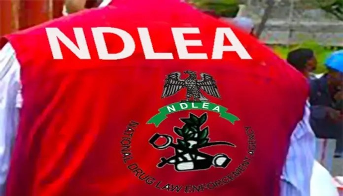 PSC Seeks NDLEA Support for Drug Tests on Police Recruits