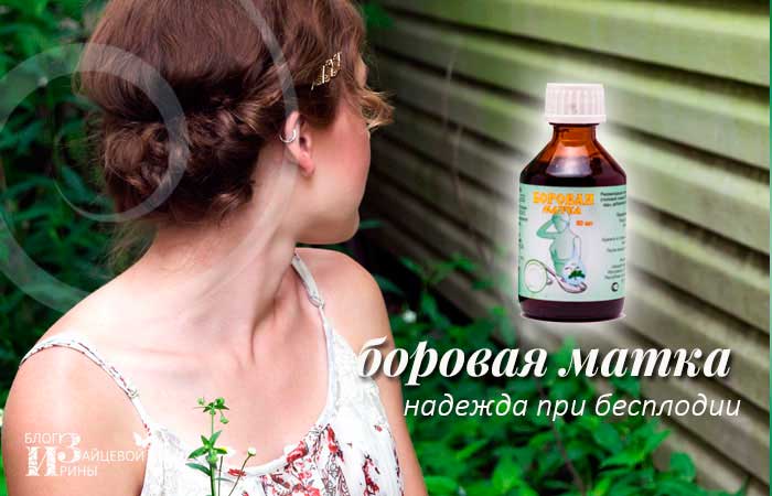 Боровая матка или ортилия однобокая. Боровая матка: противопоказания. Что представляет собой боровая матка