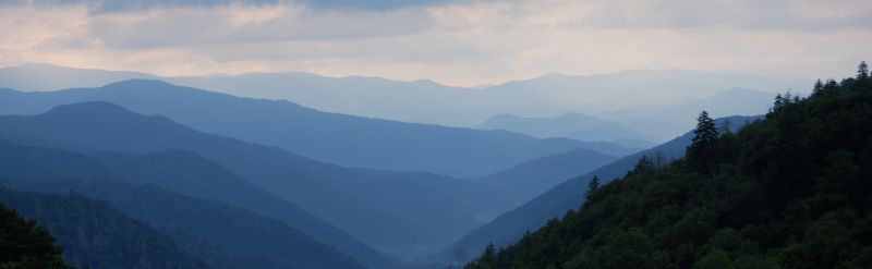 Github Zlsuner Iris - Premium Desktop Nature Patterns | Free Download