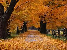 fallseasson