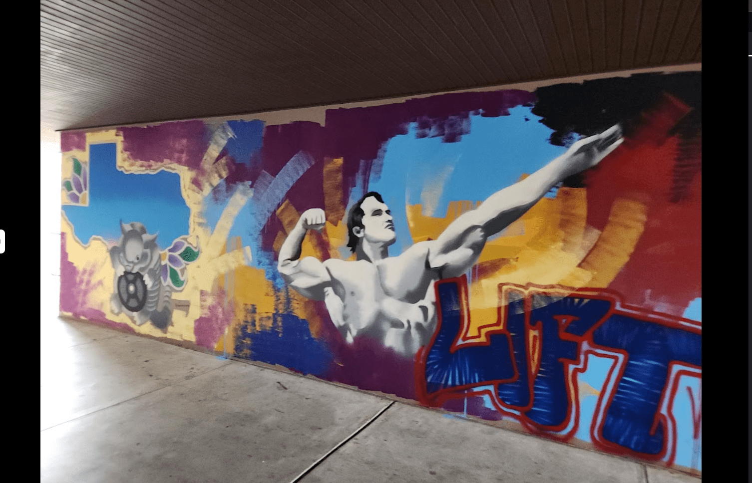 Iron Forge Gym facility image
