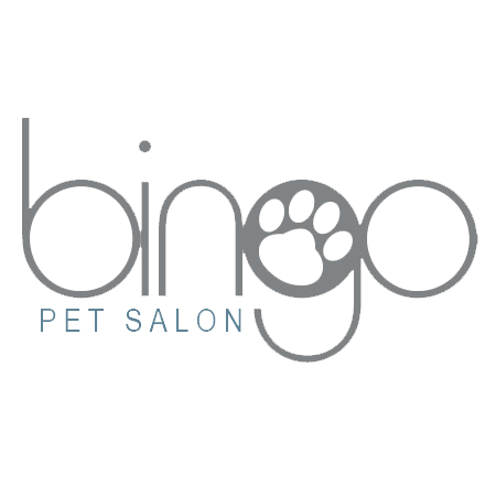Home Bingo Pet Salon Downtown Royal Oak Michigan