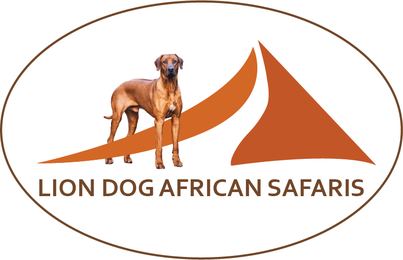 African Safari Tours From Canada Usa Lion Dog African