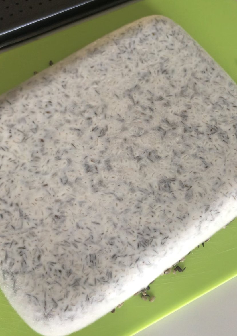 picture Making Tempeh Without Plastic making tempeh without using plastic bags