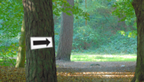 Directional signage