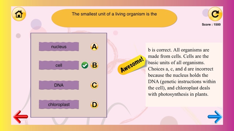 7th grade science quiz 1 practice worksheets for home