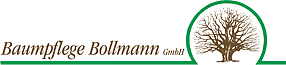 bollmann