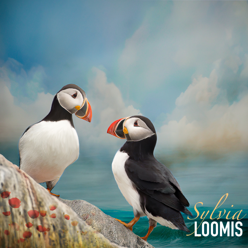 When Time Stands Still 8x8 (12.75")