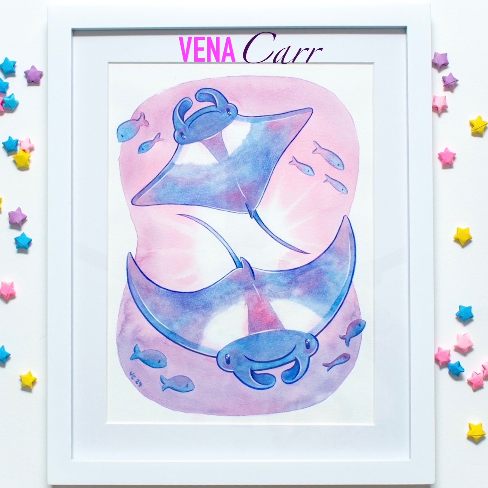 Manta Rats 12x15 (Frame)