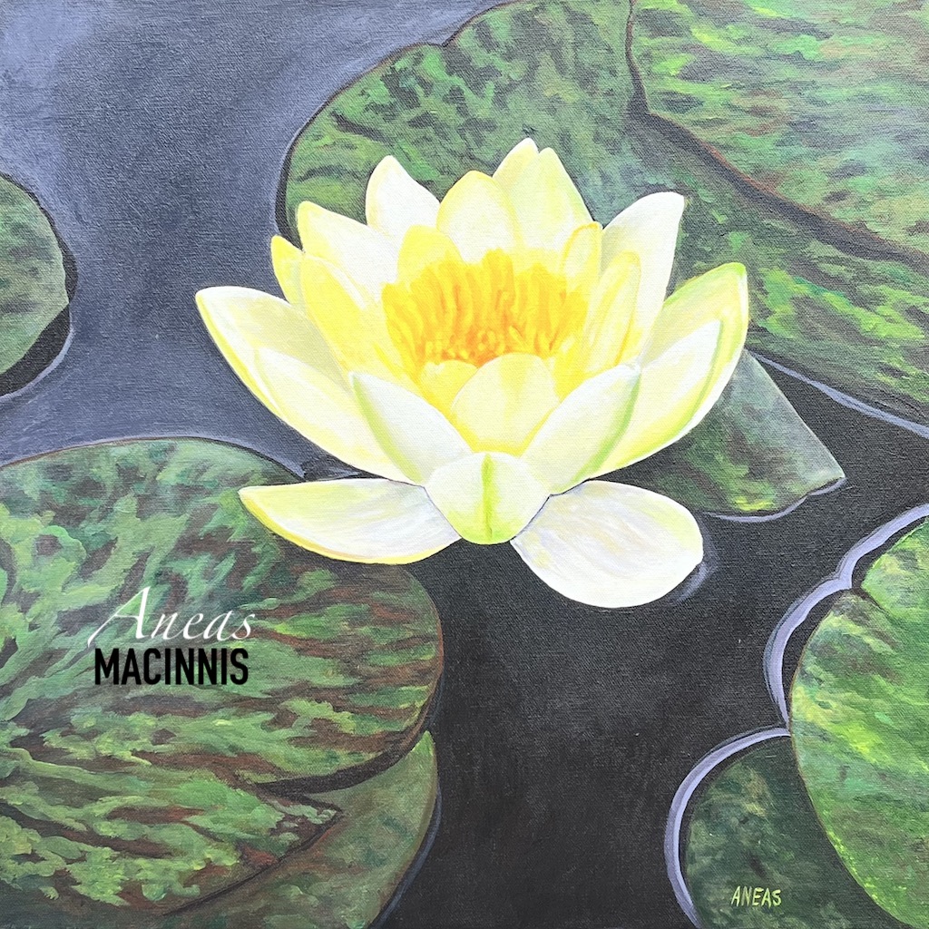 Water Lily 20x20