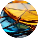 la neuroplasticité du cerveau