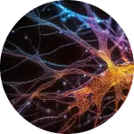 acquérir de nouvelles connaissances