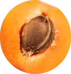 guider et accompagner en naturopathie