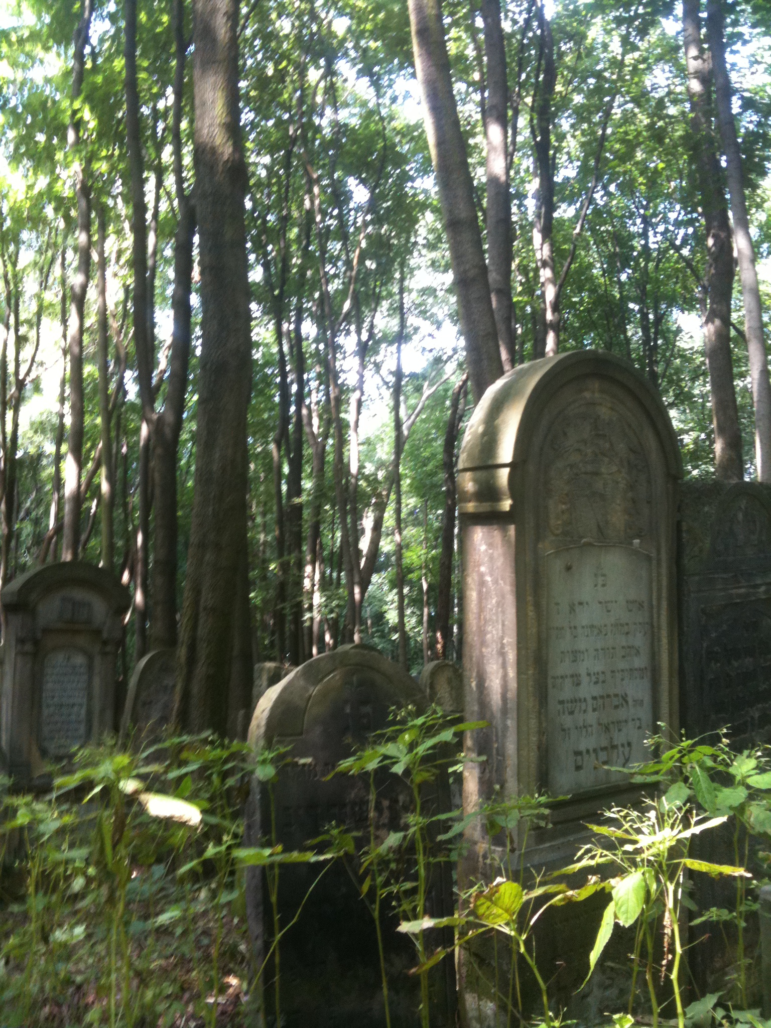 Cimetière de Varsovie ©Isabelle Collombat