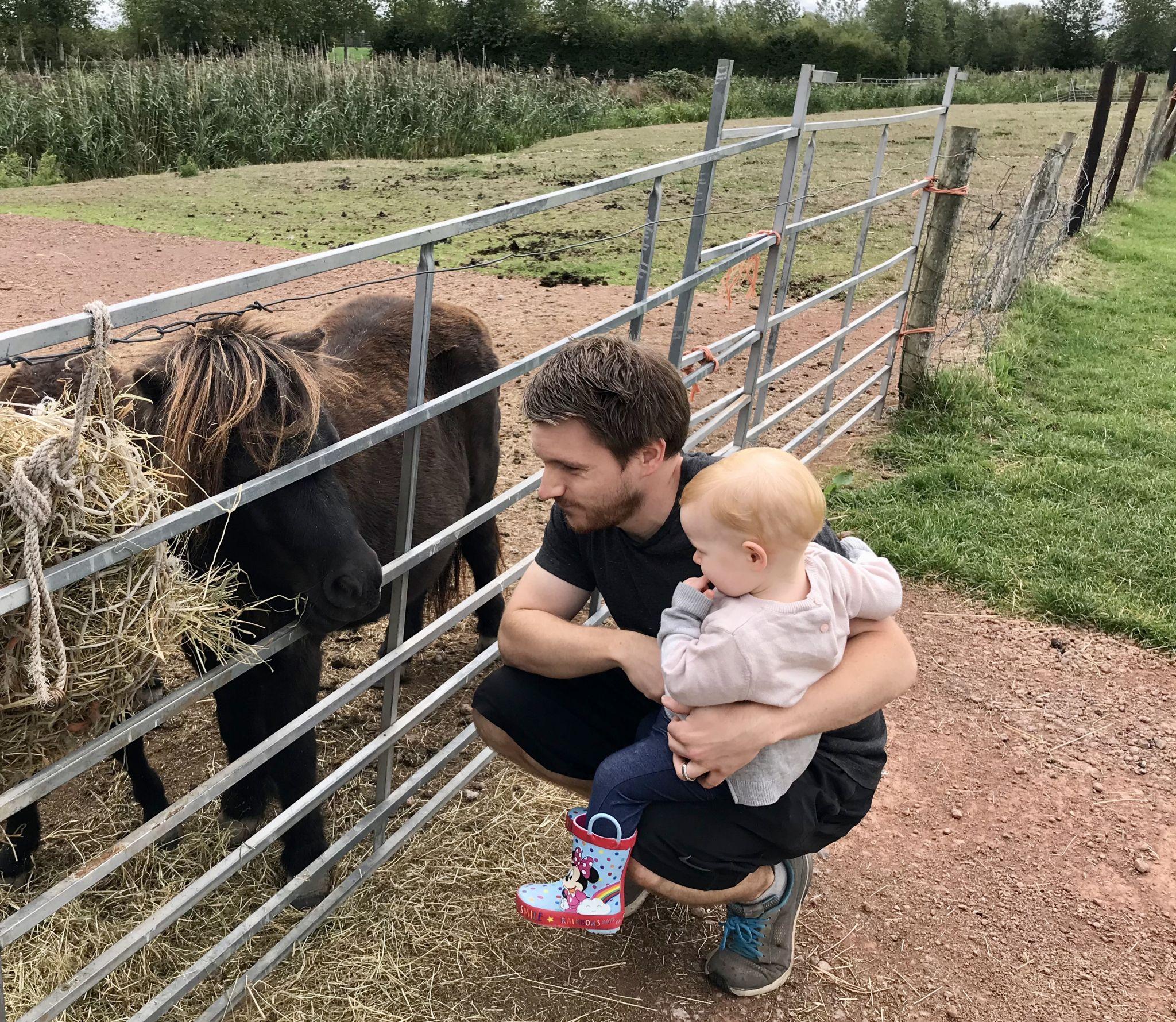 More of the animals at Walnut Tree Farm Park