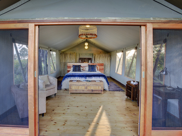Pelo Camp Botswana Safari Camps Isafari Com