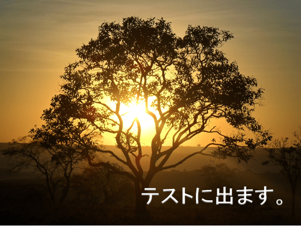 樹木
