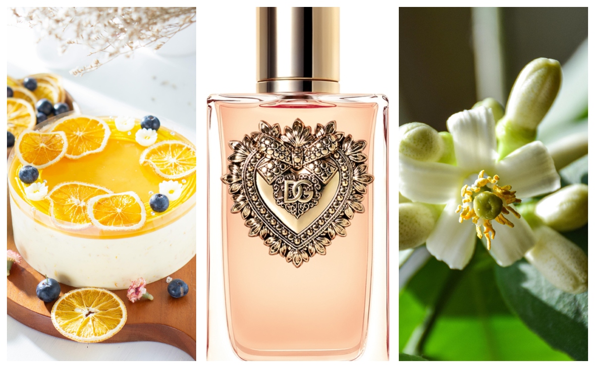 Dolce&Gabbana Devotion For Her by Olivier Cresp - iscentyouaday