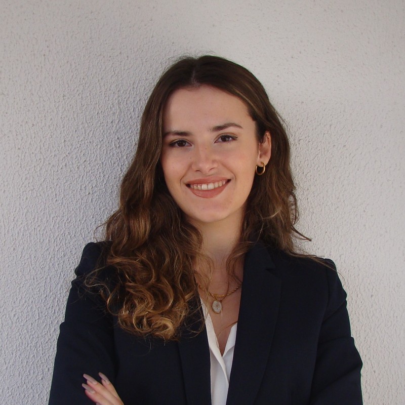 Sofia Mendes - City Illustrations - Ultra HD High Resolution Collection