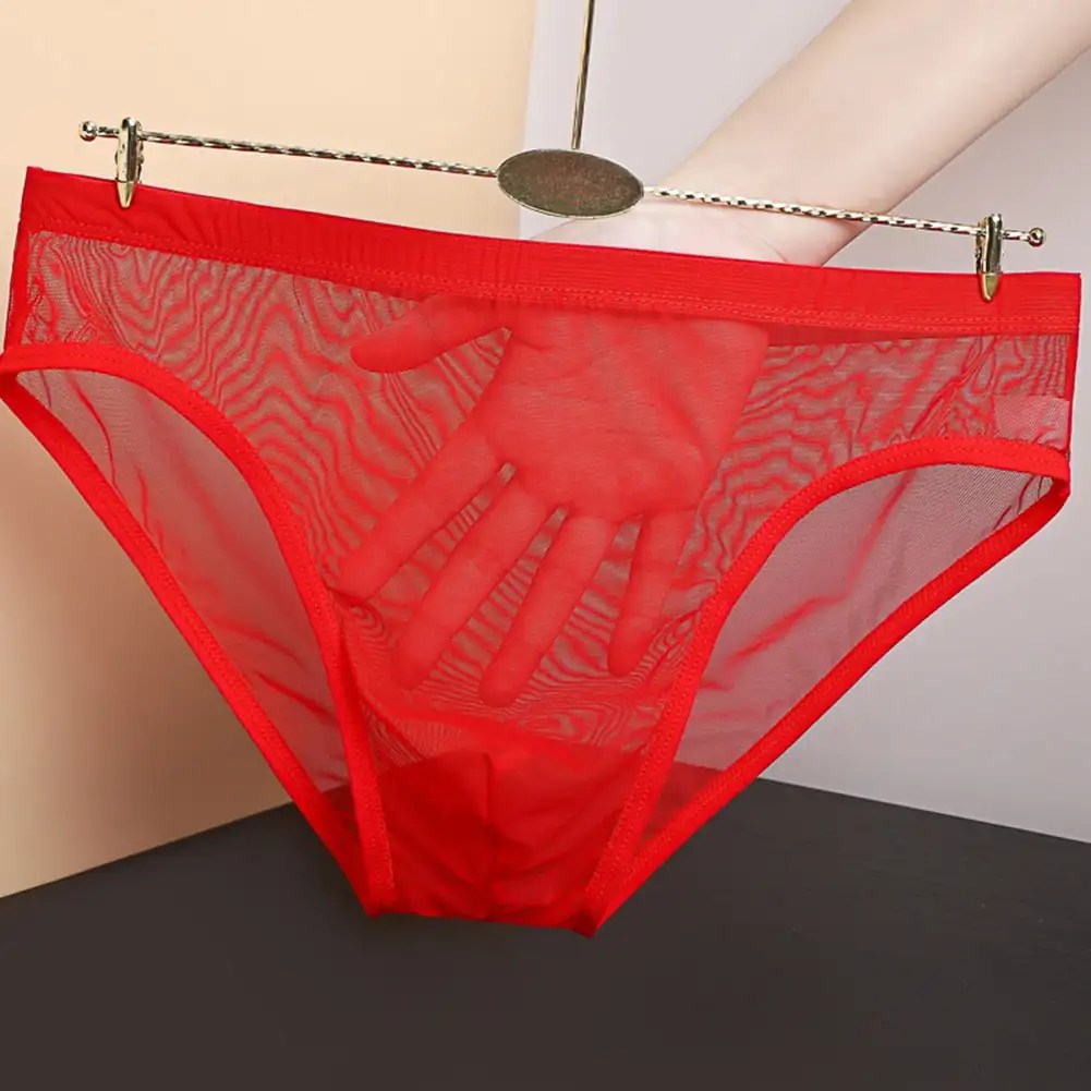 Plus Size Sex Underwear - Mesh Briefs (Polyamide/Spandex) 9 beige solid pattern plus size briefs