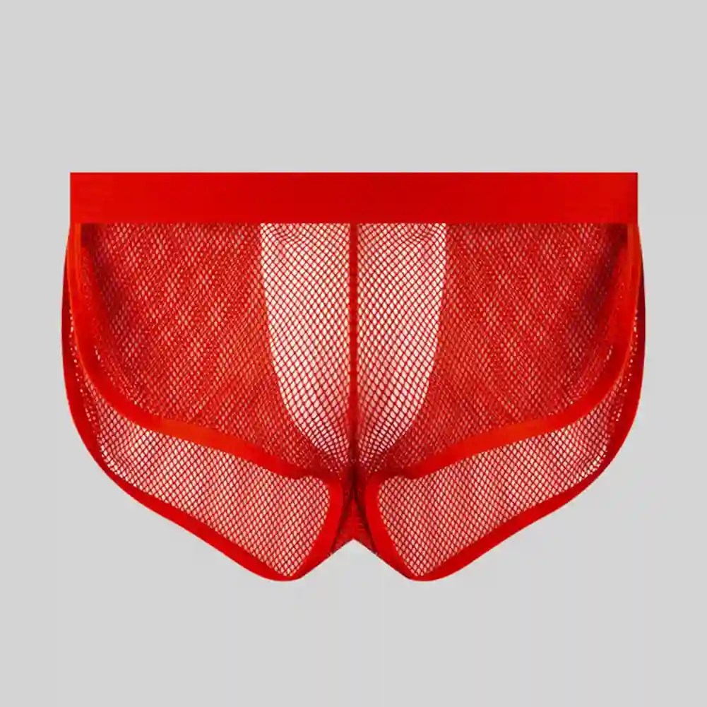 Lingerie Chemise - Mesh Boxer Briefs (Sheer) 5 red solid pattern mesh briefs
