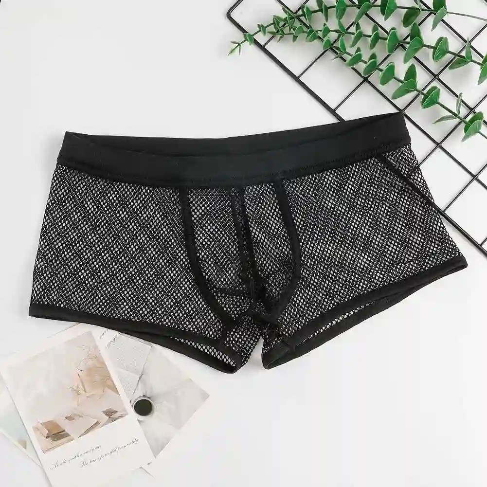 transparent boxer briefs solid color