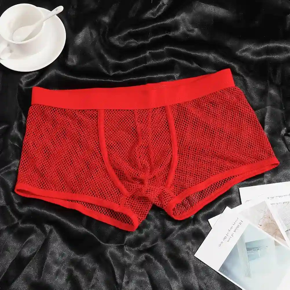 transparent boxer briefs solid pattern