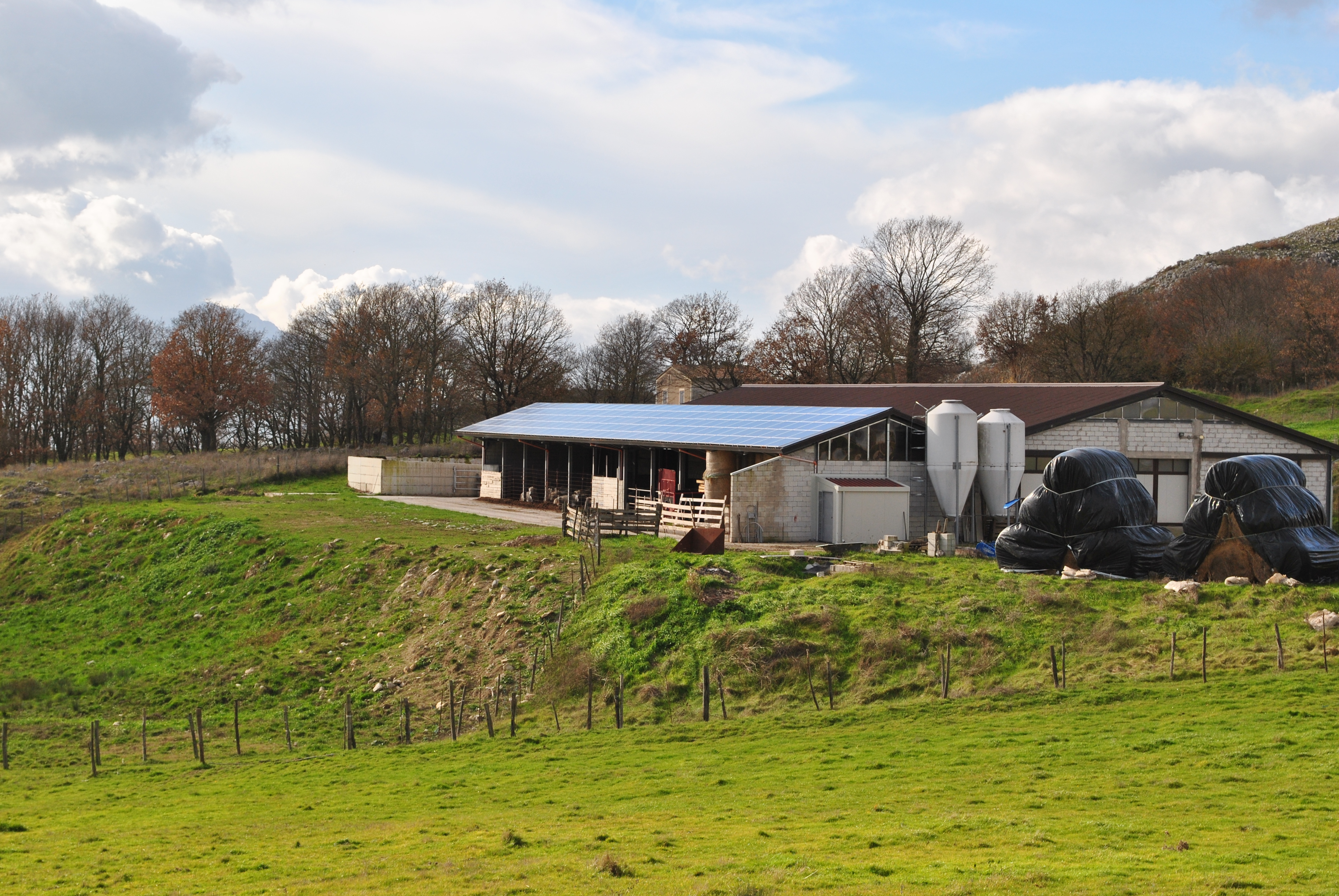 Azienda Agricola Passannante - Balvano (PZ) - 36 kWp