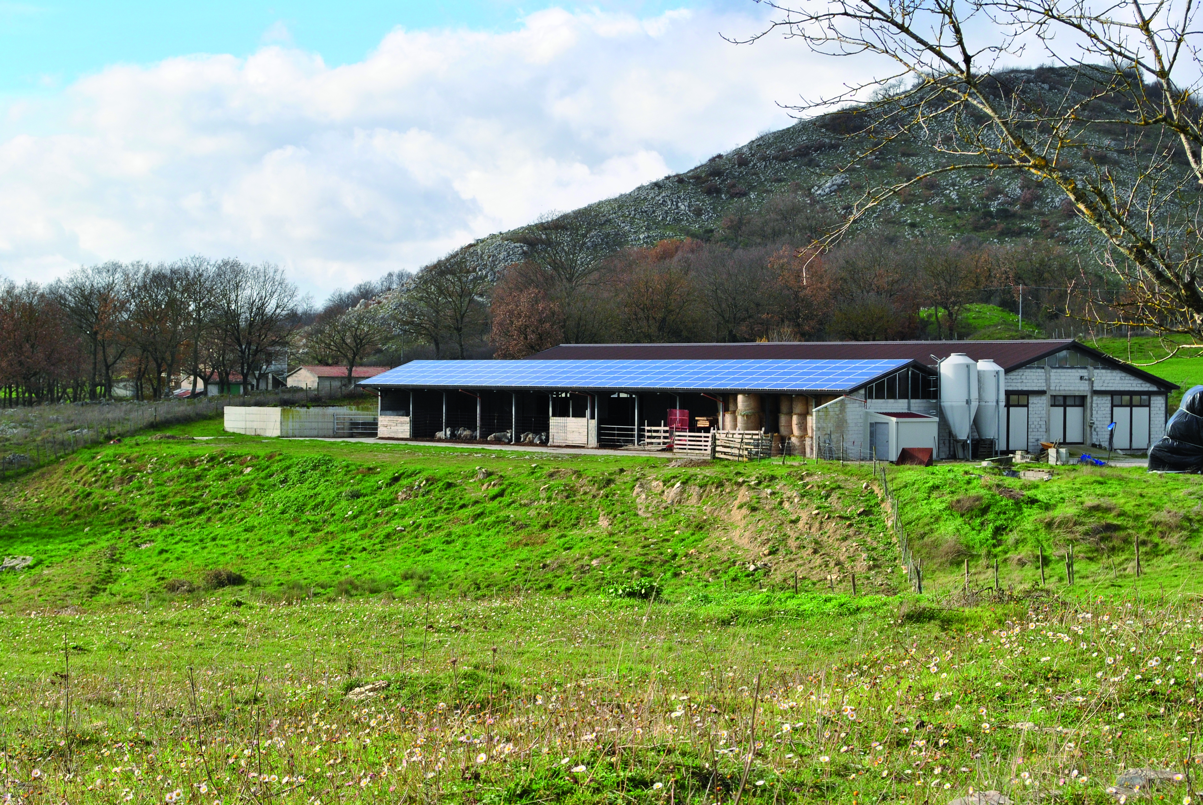 Azienda Agricola Passannante - Balvano (PZ) - 36 kWp