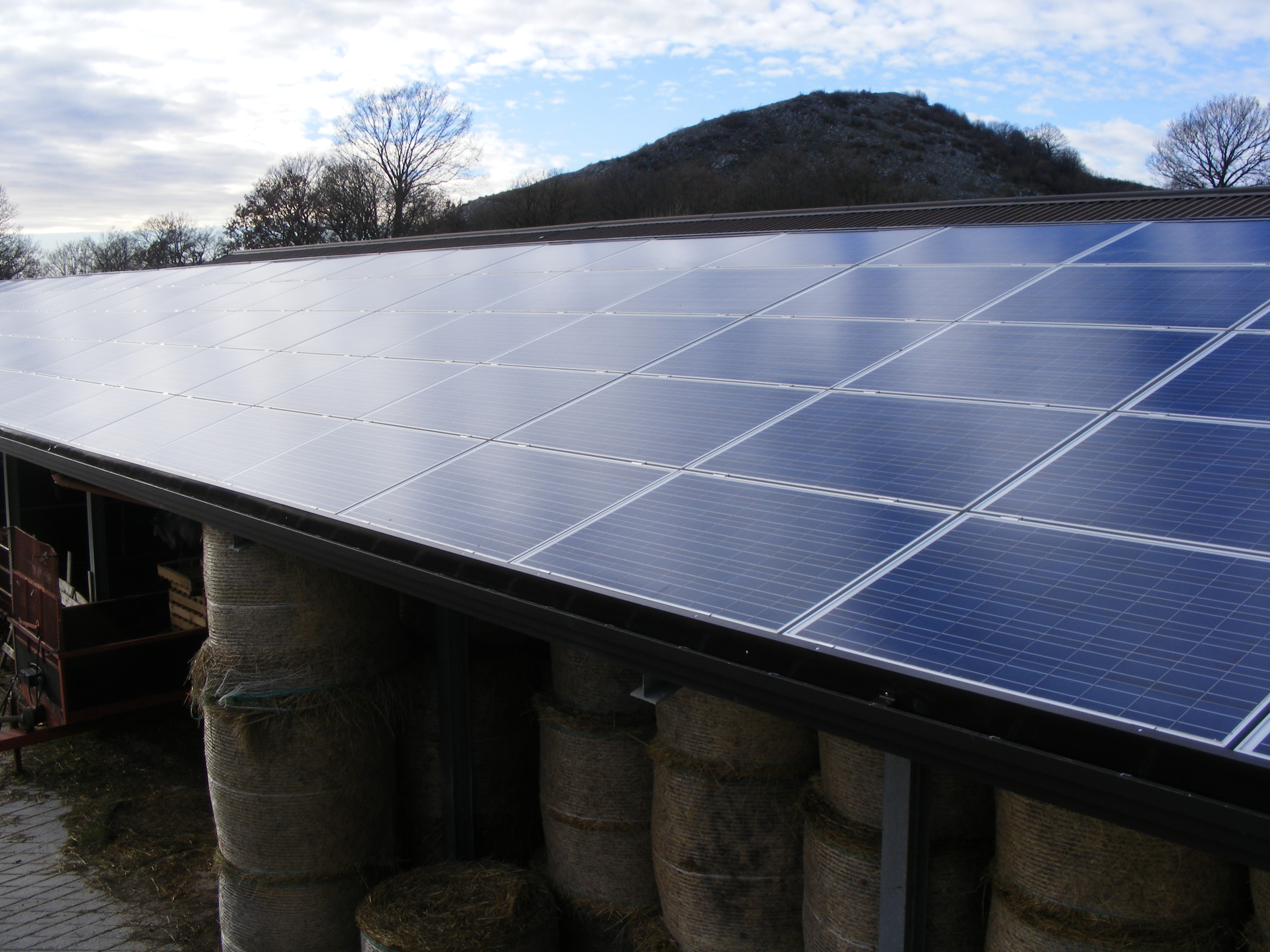 Azienda Agricola Passannante - Balvano (PZ) - 36 kWp