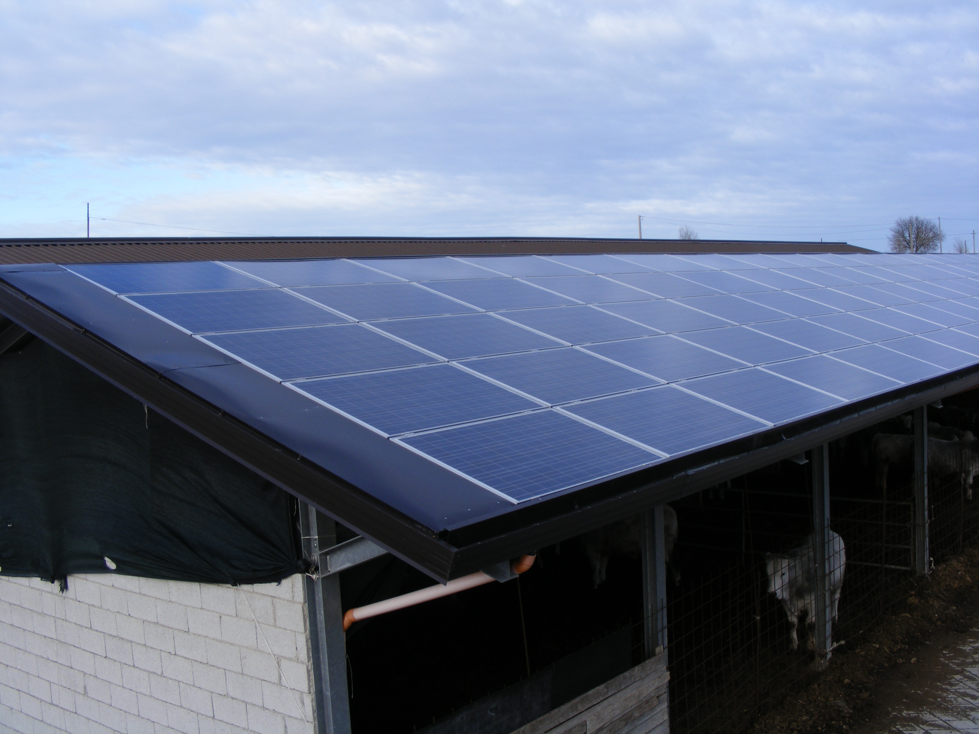 Azienda Agricola Passannante - Balvano (PZ) - 36 kWp
