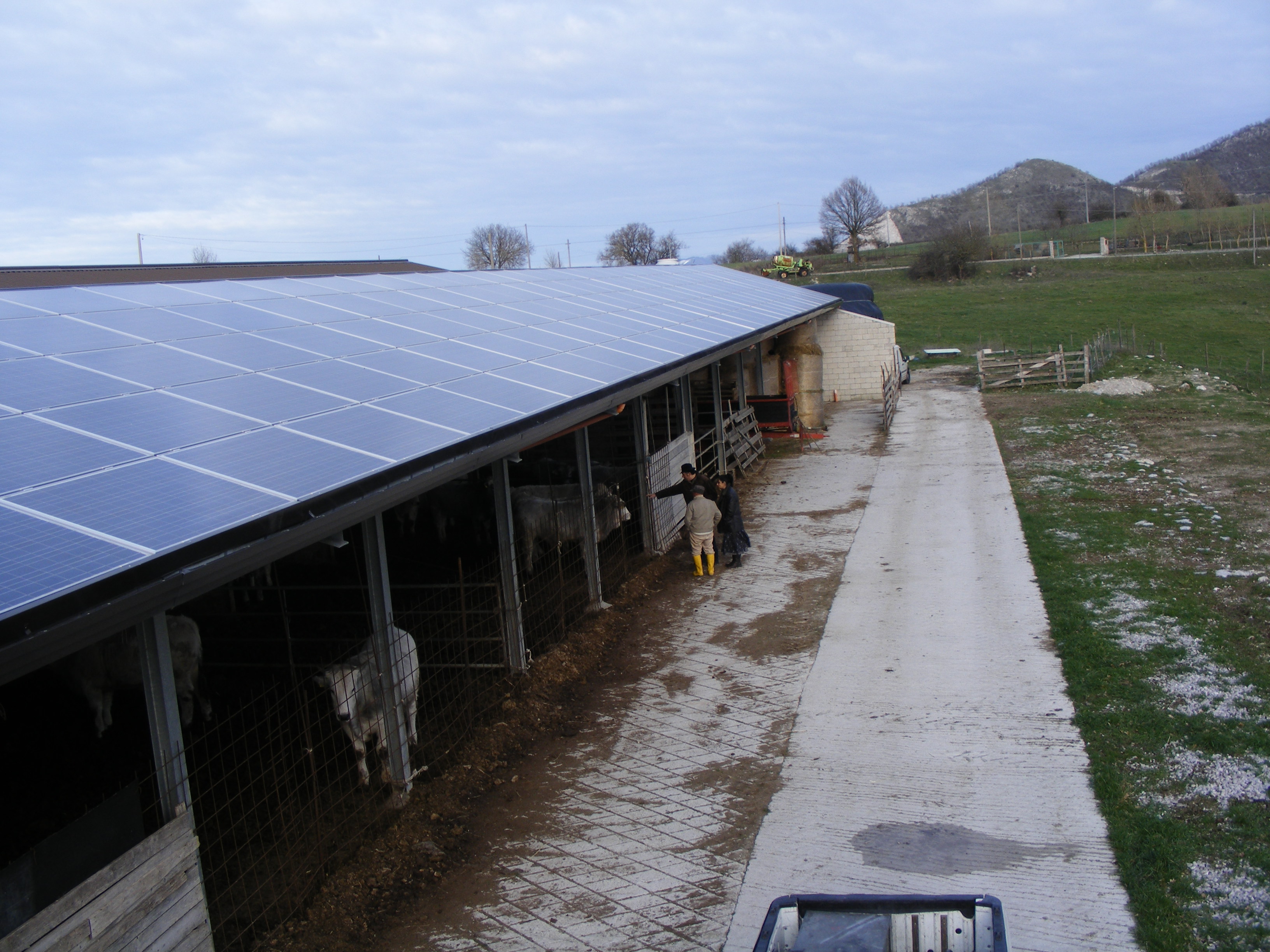 Azienda Agricola Passannante - Balvano (PZ) - 36 kWp