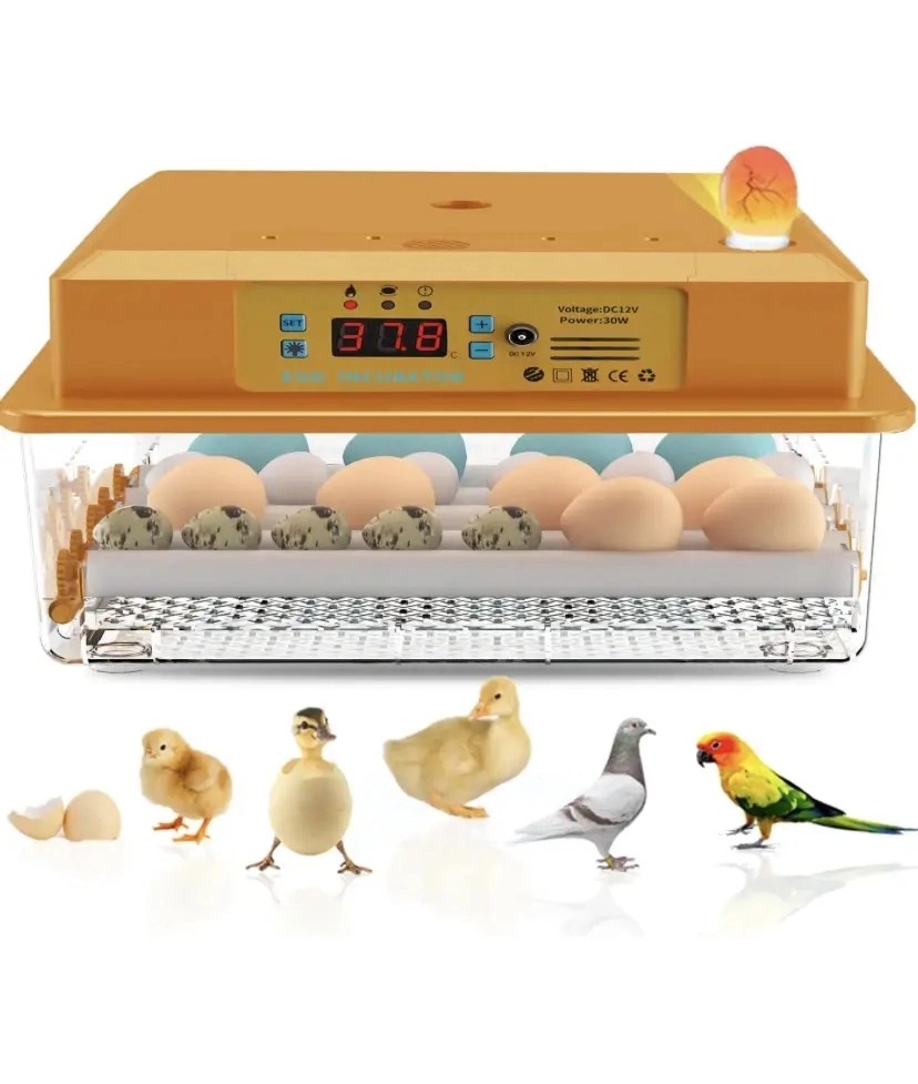 Incubators Online shopping in Ethiopia